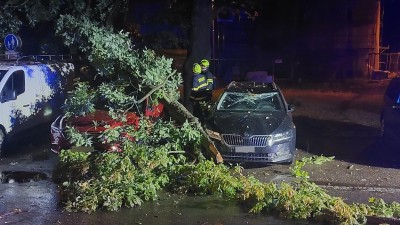 foto zdroj Městská policie Pardubice