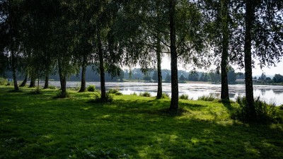 V rybníku Rosnička by se mohla kvalita vody zlepšit. Má také svůj web, kde se dozvíte vše