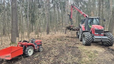 Pl&aacute;novan&aacute; těžba stromů v&nbsp;pardubick&yacute;ch les&iacute;ch, ale i nov&aacute; v&yacute;sadba. Město bude tak&eacute; renovovat i stavět lesn&iacute; cesty