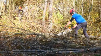 Chystá se rozsáhlá revitalizace Červeňáku, přípravné práce již začaly